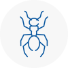 Ant Removals In Maryport
