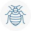 Bed Bug Extermination In Maryport