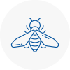 Bee Nest Removal Maryport