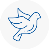 Bird Prevention Maryport
