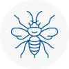 Maryport Hornet Nest Removals