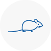 Mice Exterminators In Maryport