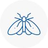 Moth Control Specialists In Maryport