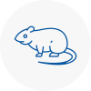 Rat Control Maryport
