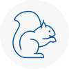 Maryport Rodent Removals